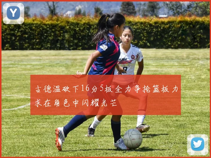 古德温砍下16分5板全力争抢篮板力求在角色中闪耀光芒