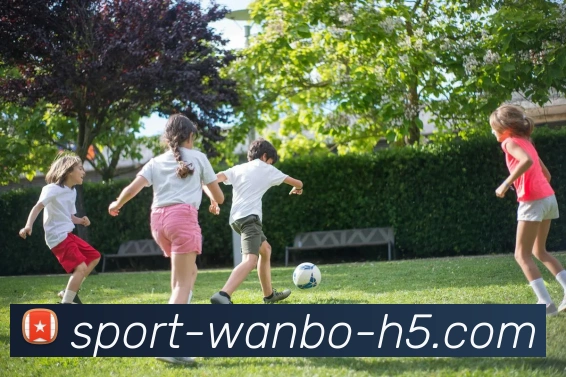 万博体育平台生态图