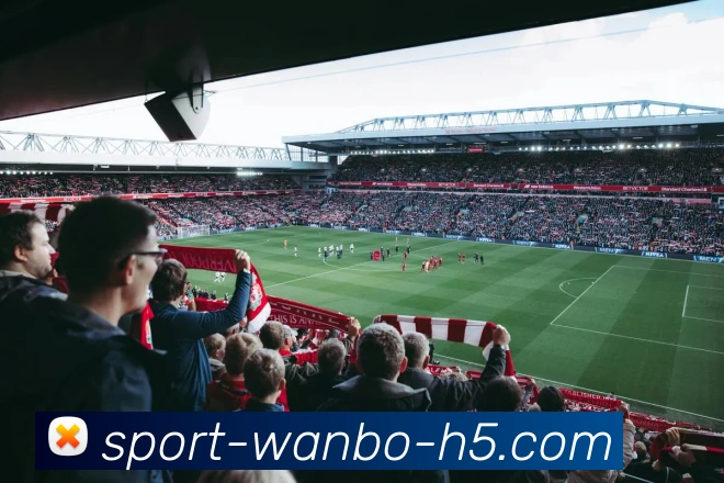 万博体育APP 封面图